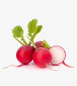 Beet Root