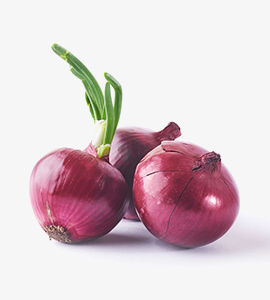 Onion