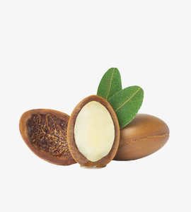 Sweet Potato